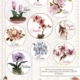 FLORES DE FOAMIRAN DAYKA -1